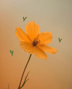 Flor naranja con corazones verdes que representa las etapas de una relación amorosa