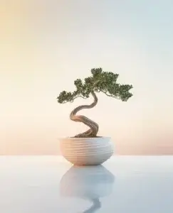 La imagen muestra un bonsái solitario en una maceta, con un tronco retorcido y ramas que se extienden en un entorno minimalista. La planta, que requiere un cuidado y atención constantes para mantener su forma, simboliza las complejidades y tensiones que a veces surgen en las relaciones, lo que puede estar relacionado con la frase "discuto con mi pareja por su familia".