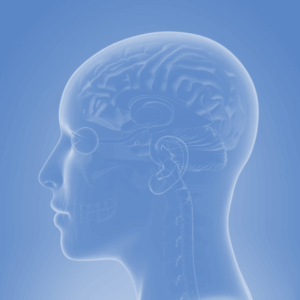 Formación en Brainspotting